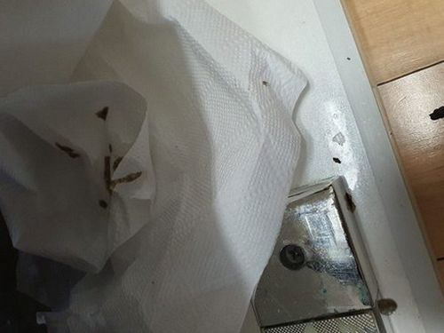 송파구 하수구막힘 석촌동 하수구막힘, 원인별 대응 3가지