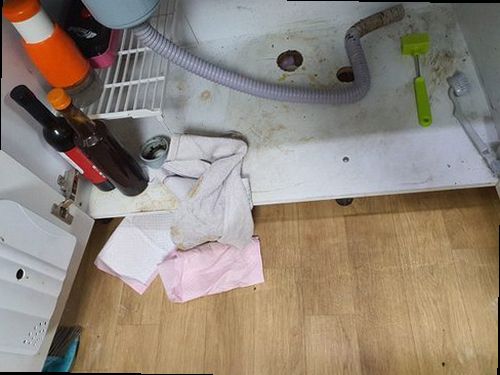 송파구 문정2동 하수구막힘 배수구 주변 물 고임과 점검 상태를 확인하는 현장