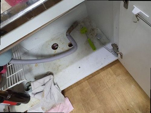 송파구 오금동 하수구막힘 배수 지연과 역류 흔적을 확인하는 현장 점검 모습